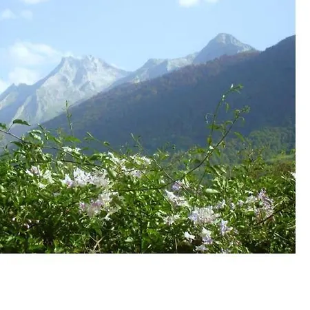 Pic De Saint Mont